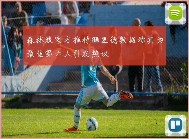 森林狼官方推特晒里德数据称其为最佳第六人引发热议